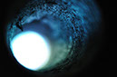 %_tempFileNameDSC_0074-n%